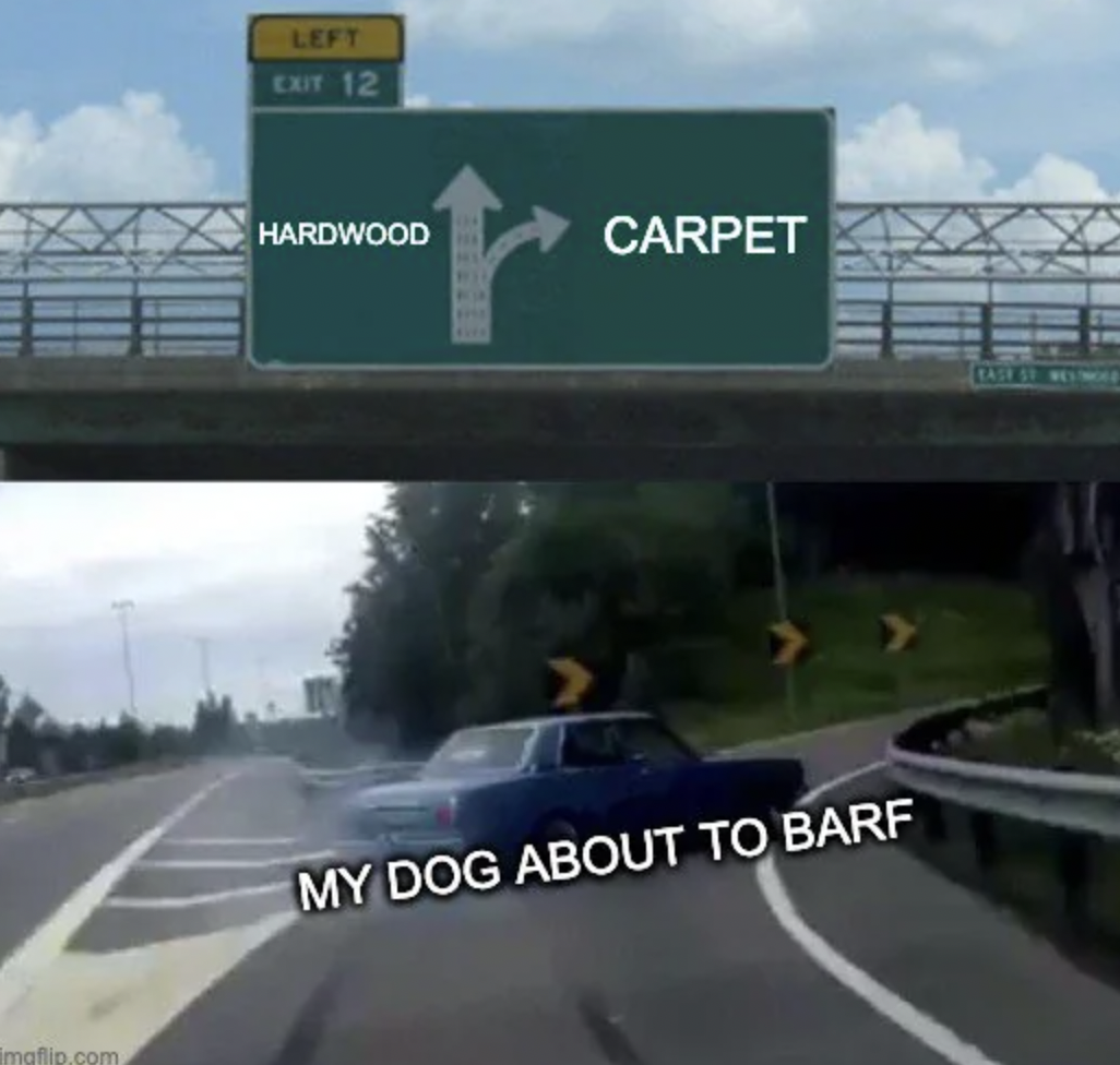 google analytics 4 memes - imgflip.com Left Exit 12 Hardwood Carpet My Dog About To Barf