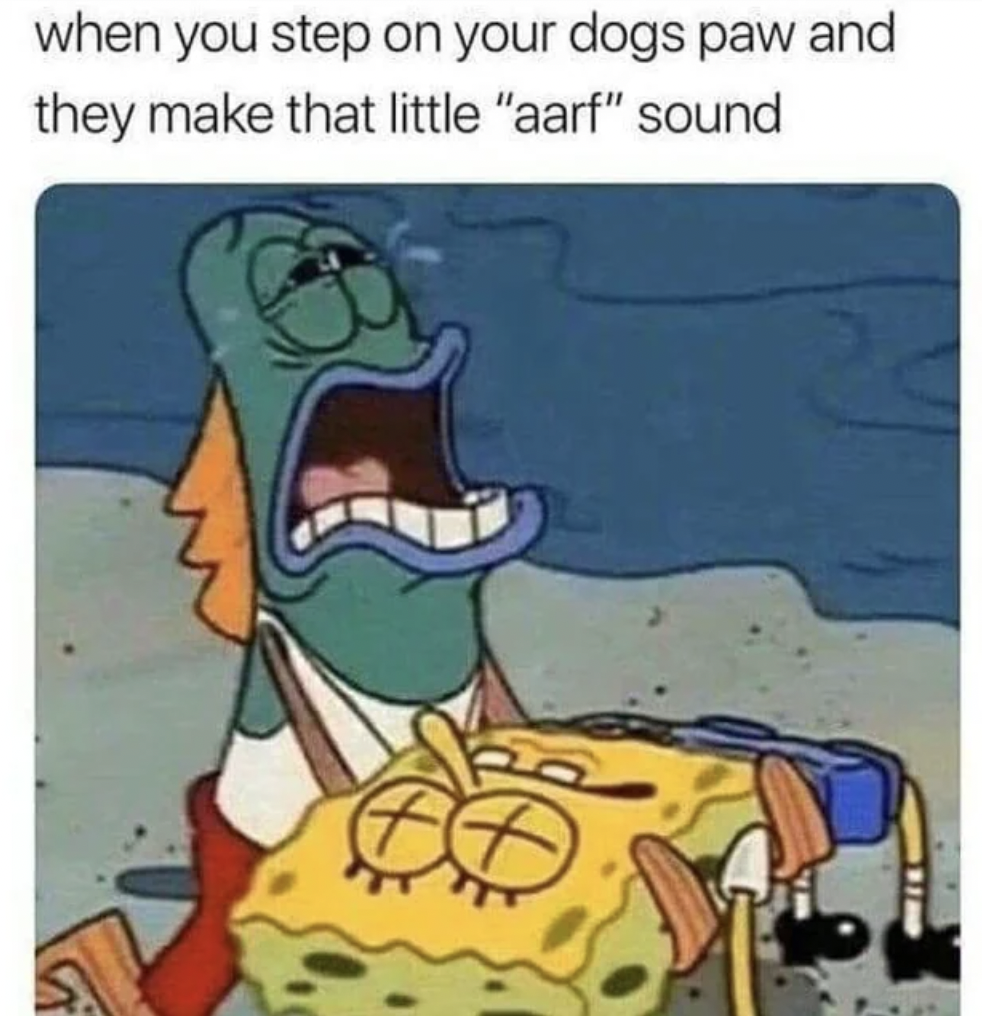 spongebob memes funny clean - when you step on your dogs paw and they make that little "aarf" sound