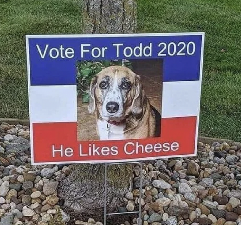 snout - Vote For Todd 2020 He Cheese