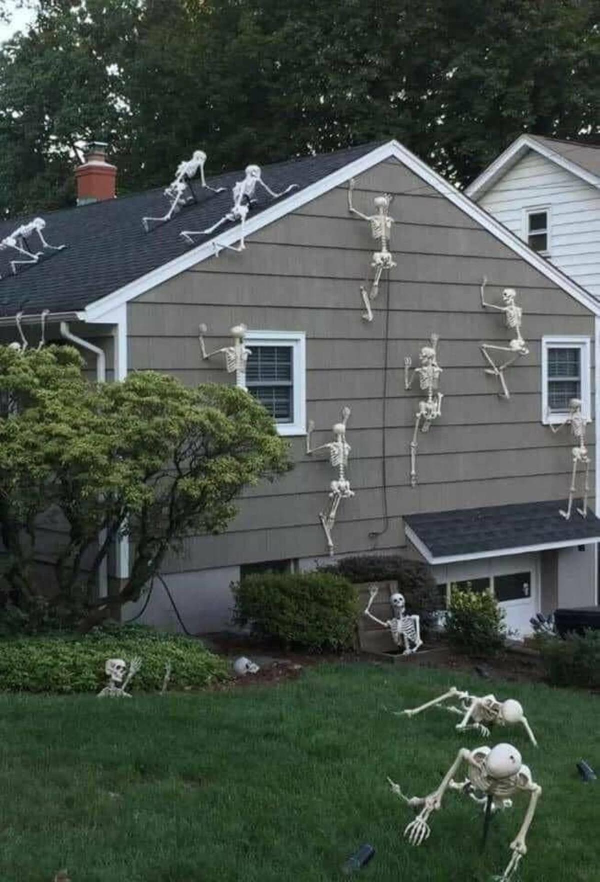 skeletons crawling on house - Nt