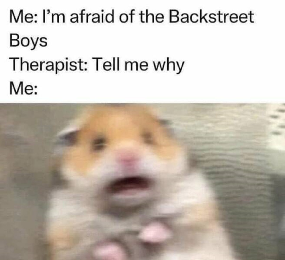 tell me why ain t nothin but a he - Me I'm afraid of the Backstreet Boys Therapist Tell me why Me