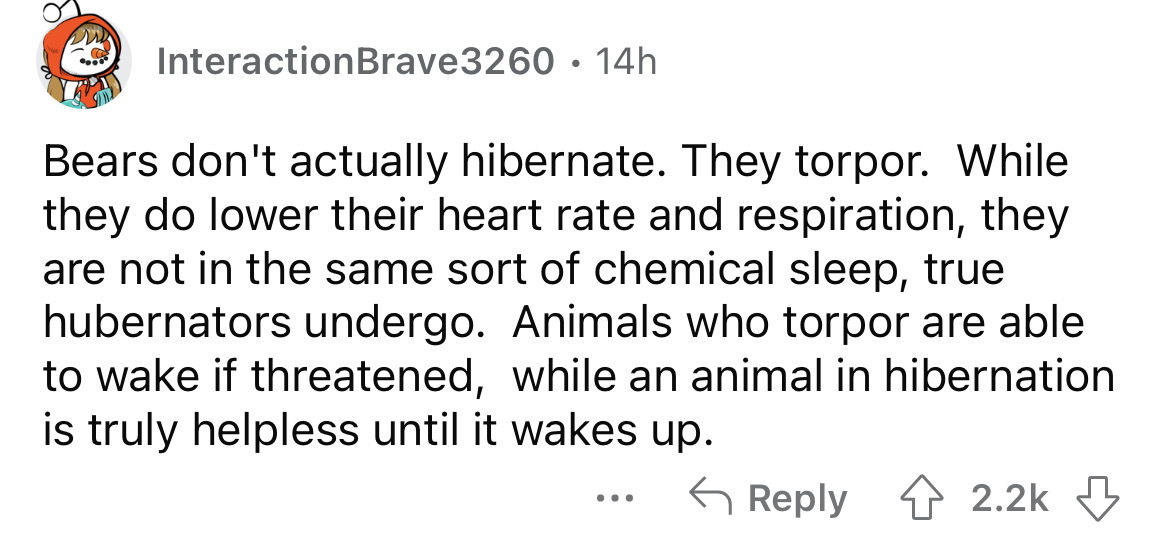 document - Interaction Brave3260 14h Bears don't actually hibernate. They torpor. While they do lower their heart rate and respiration, they are not in the same sort of chemical sleep, true hubernators undergo. Animals who torpor are able to wake if threa