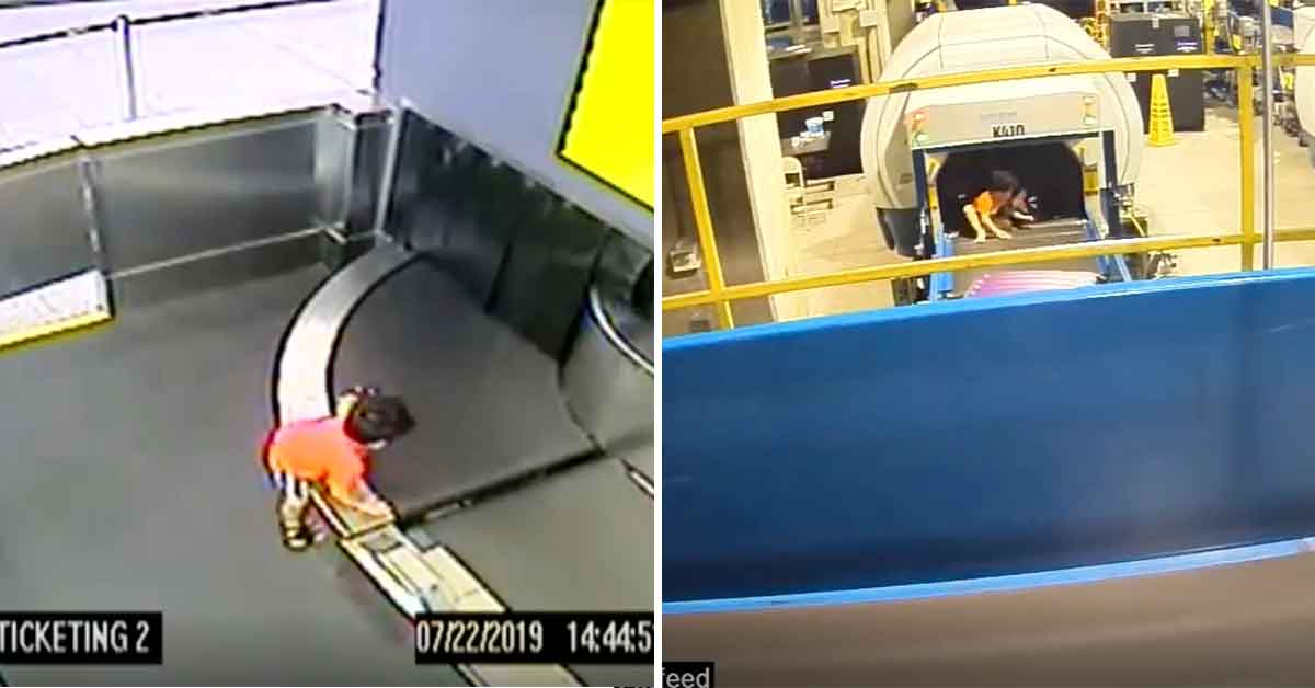 Kid goes for a ride on airport luggage conveyor belt. 
