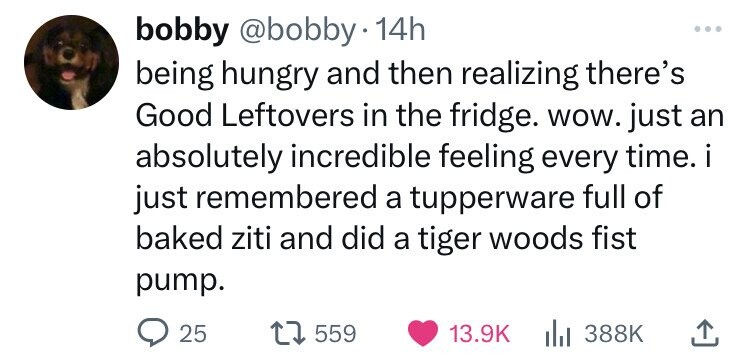 bobby . 14h being hungry and then realizing there's Good Leftovers in the fridge. wow. just an absolutely incredible feeling every time. i just remembered a tupperware full of baked ziti and did a tiger woods fist pump. 25 t 559
