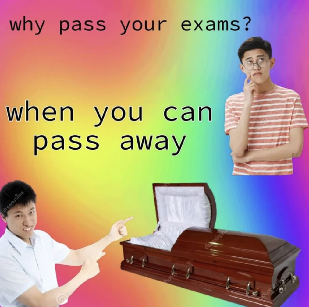 pass your exams when you can pass away meme - why pass your exams? when you can pass away
