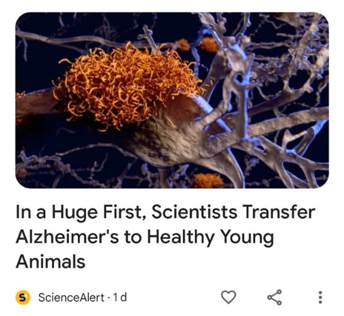 In a Huge First, Scientists Transfer Alzheimer's to Healthy Young Animals S ScienceAlert 1 d Lo ...