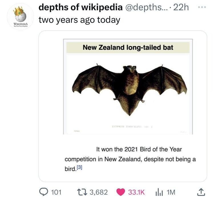 fauna - Wikipedia Tegel depths of wikipedia .... 22h two years ago today 101 Sale New Zealand longtailed bat It won the 2021 Bird of the Year competition in New Zealand, despite not being a bird.3 13,682 1M