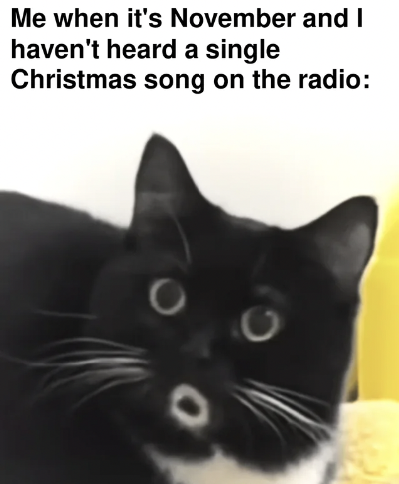 black cat - Me when it's November and I haven't heard a single Christmas song on the radio O
