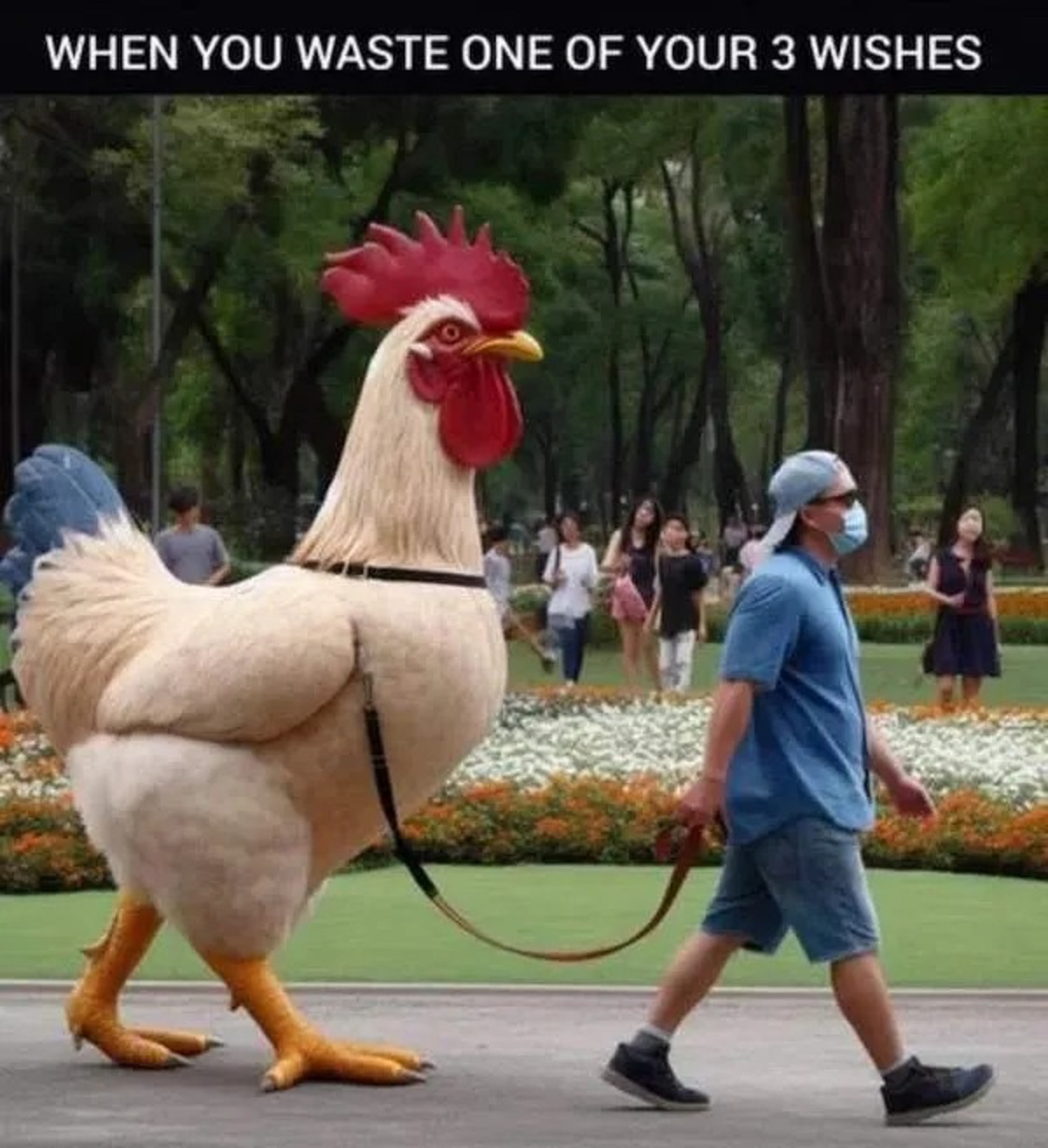 rooster - When You Waste One Of Your 3 Wishes