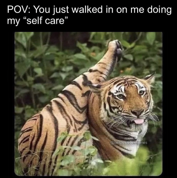 tiger meme - Pov You just walked in on me doing my "self care"