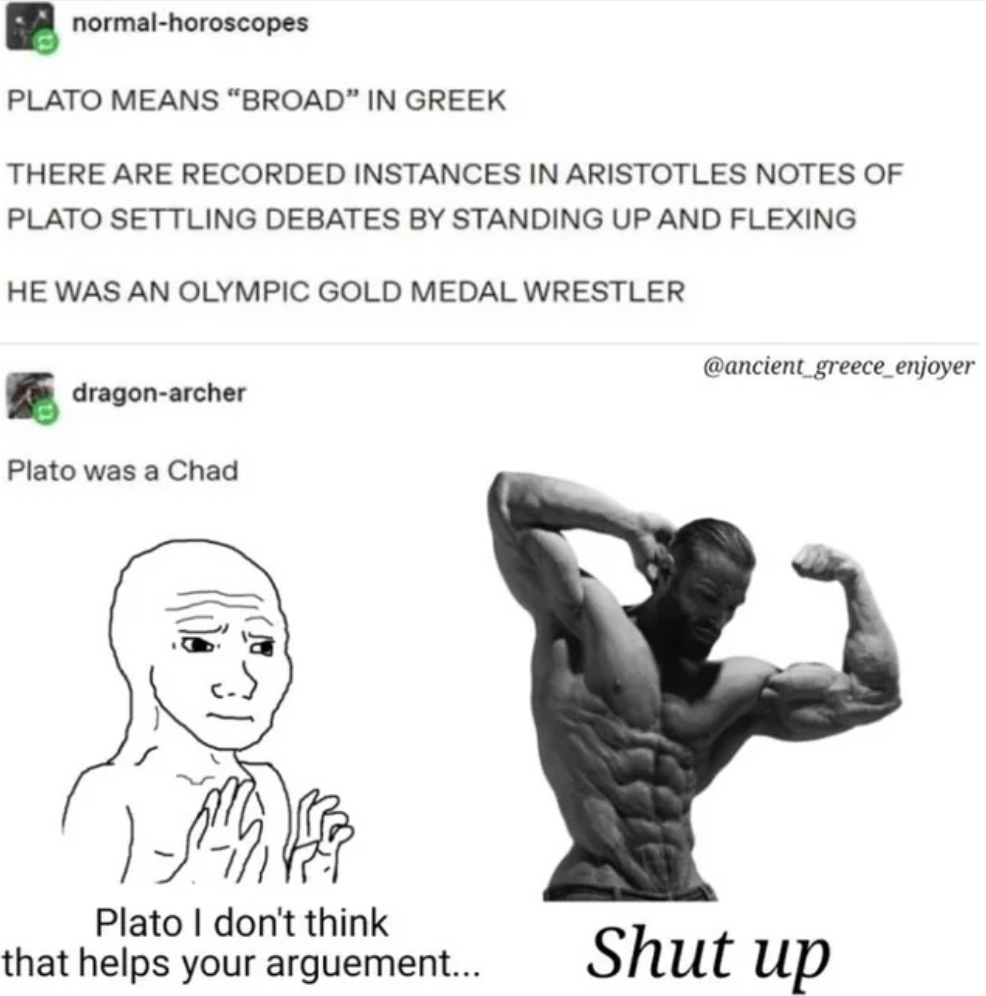 head - normalhoroscopes Plato Means "Broad" In Greek There Are Recorded Instances In Aristotles Notes Of Plato Settling Debates By Standing Up And Flexing He Was An Olympic Gold Medal Wrestler dragonarcher Plato was a Chad Plato I don't think that helps y