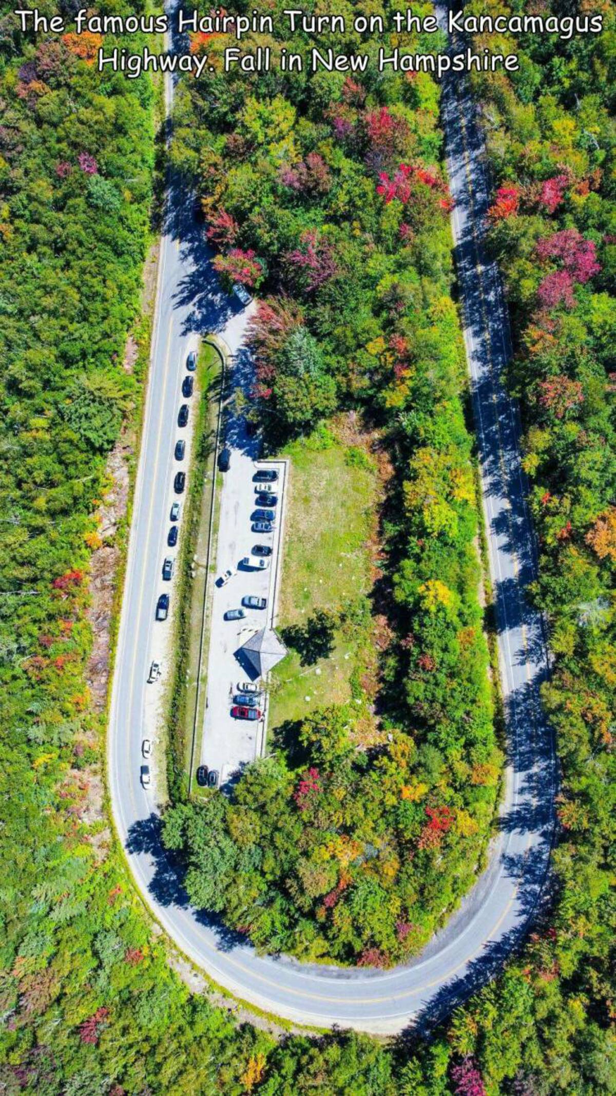 vegetation - The famous Hairpin Turn on the Kancamagus Highway Fall in New Hampshire