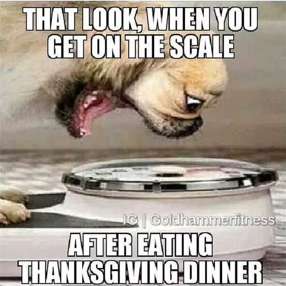 thanksgiving meme funny - That Look, When You Get On The Scale Ig Goldhammerfitness After Eating Thanksgiving Dinner