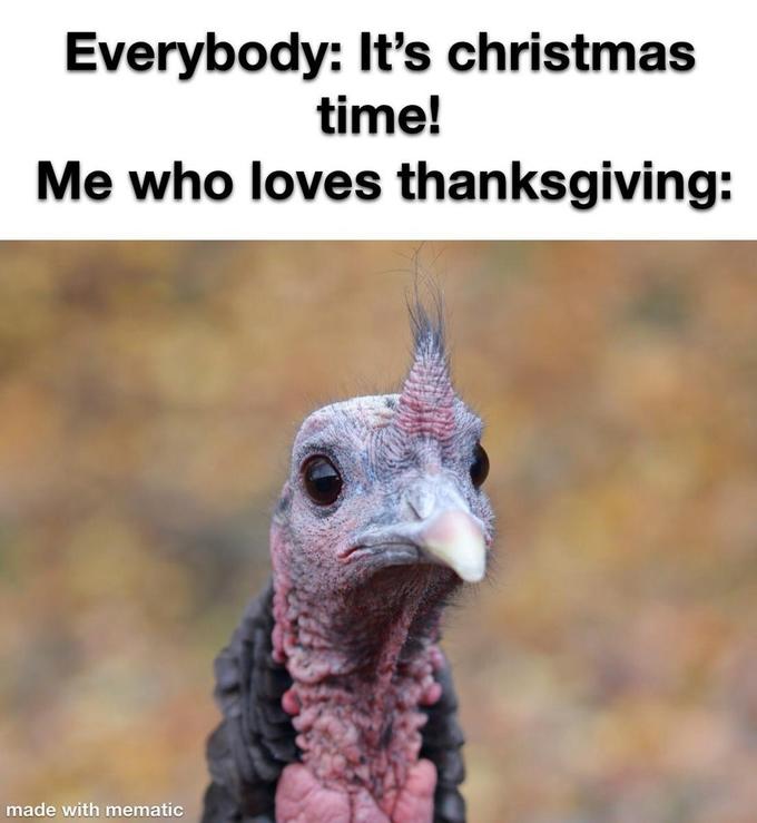 sad turkey meme - Everybody It's christmas time! thanksgiving Me who loves made with mematic
