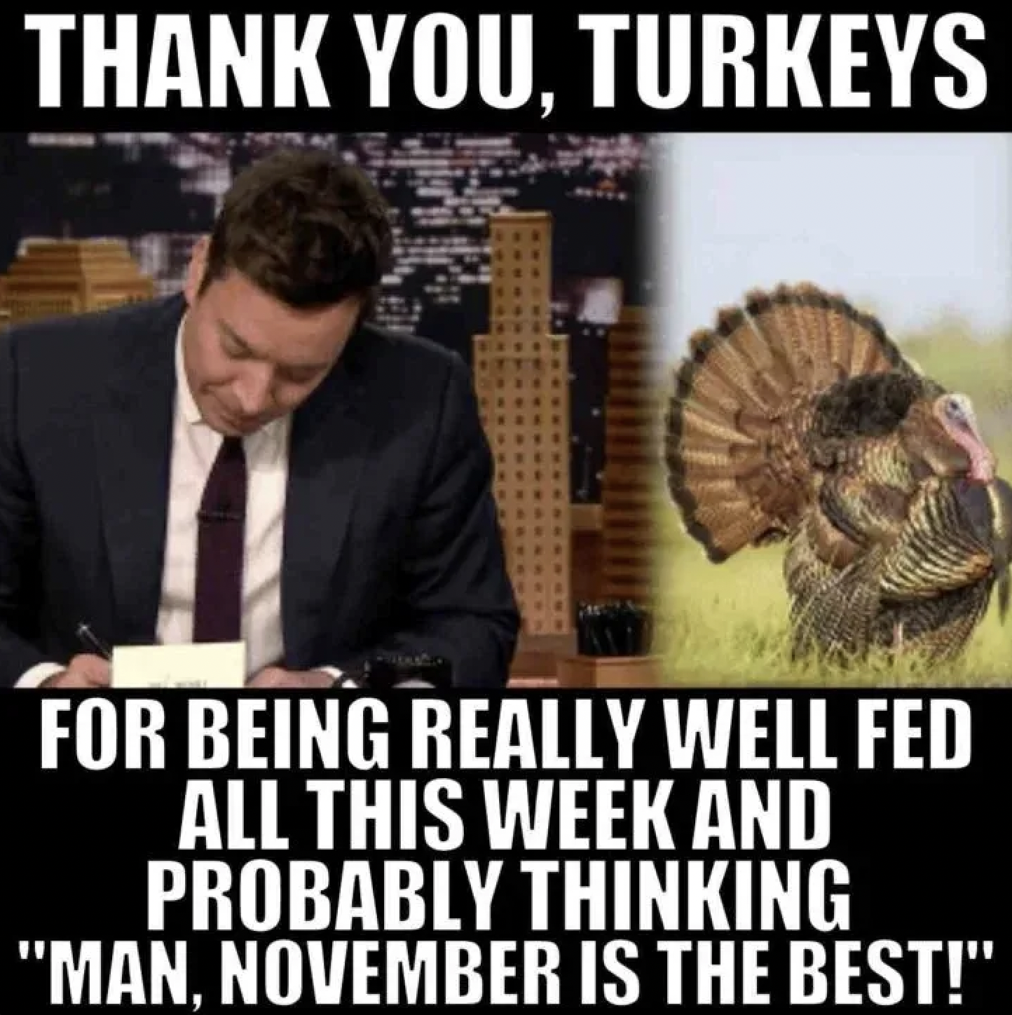 turkey day meme - Thank You, Turkeys For Being Really Well Fed All This Week And Probably Thinking