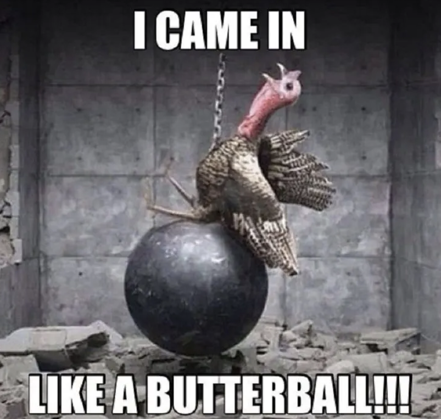 thanksgiving turkey funny - I Came In A Butterball!!!!