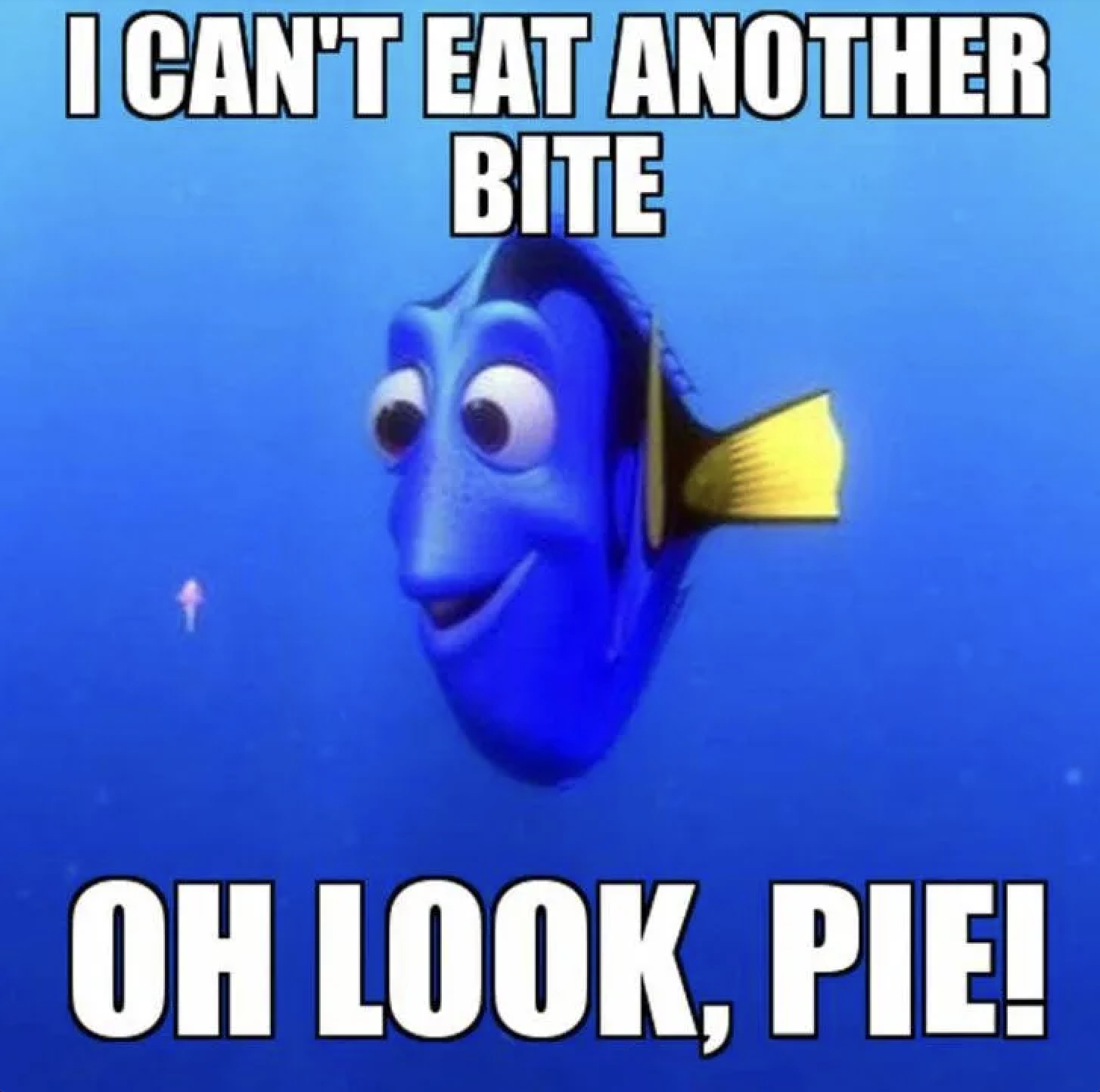 friendsgiving meme funny - I Can'T Eat Another Bite Oh Look, Pie!
