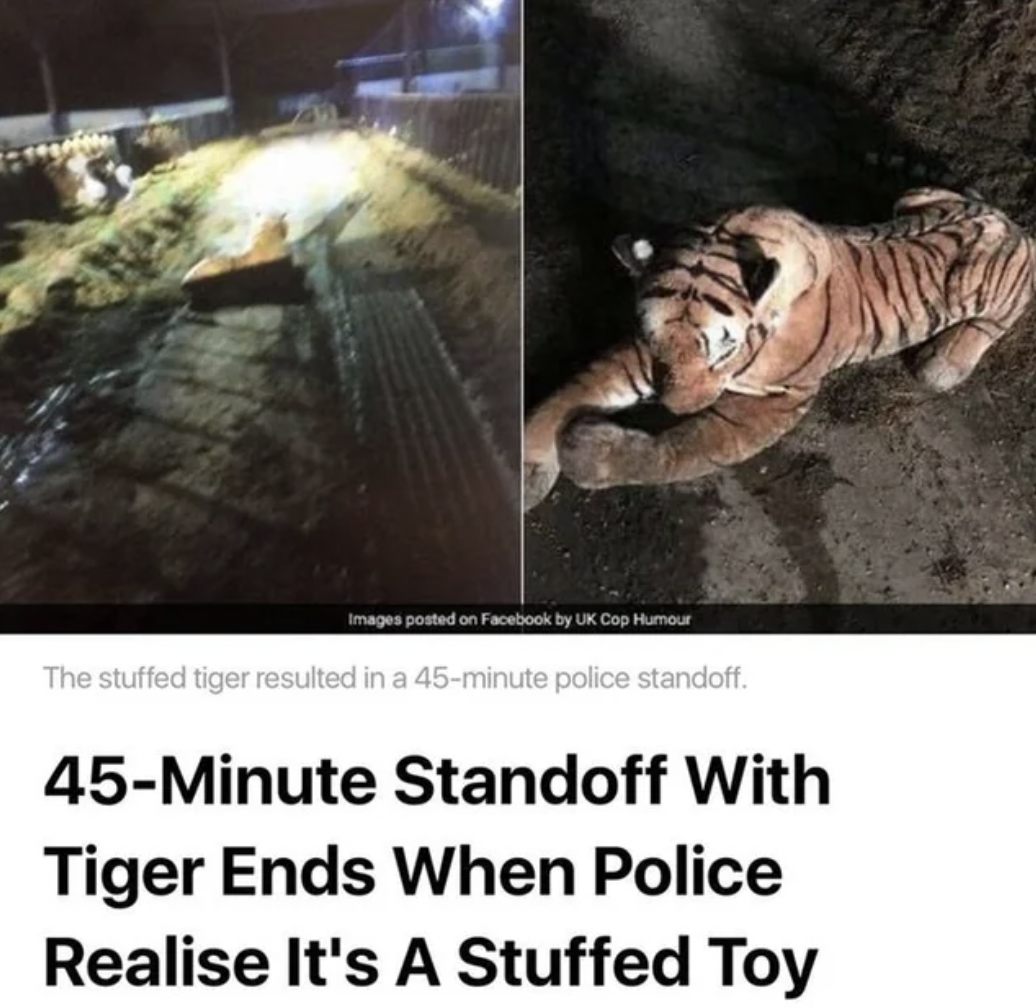 tiger - Images posted on Facebook by Uk Cop Humour The stuffed tiger resulted in a 45minute police standoff. 45Minute Standoff With Tiger Ends When Police Realise It's A Stuffed Toy