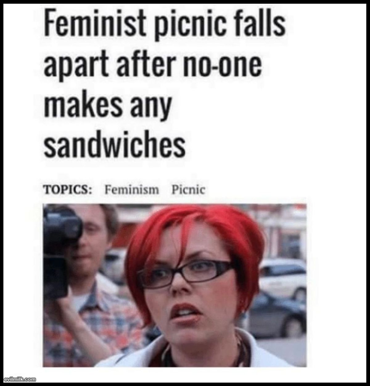 photo caption - evilmilk.com Feminist picnic falls apart after noone makes any sandwiches Topics Feminism Picnic 11