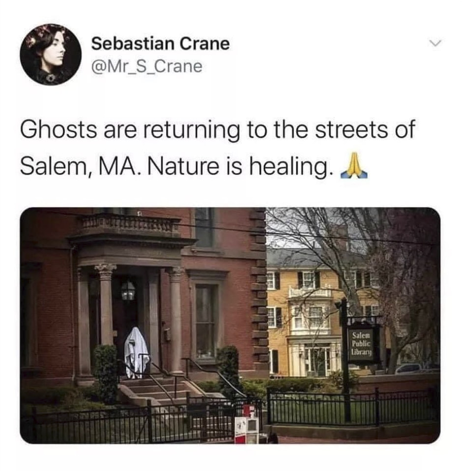 facade - Sebastian Crane Ghosts are returning to the streets of Salem, Ma. Nature is healing. Salem Public Library