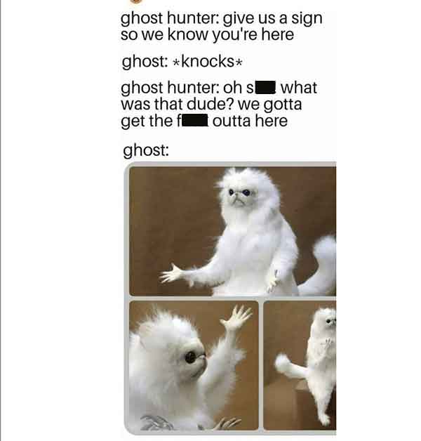 dog - ghost hunter give us a sign so we know you're here ghost knocks what ghost hunter oh s was that dude? we gotta get the f outta here ghost