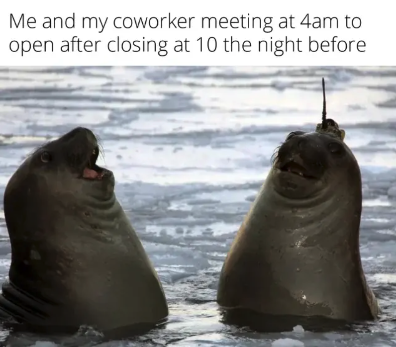 TGIF: 19 Work Memes to Celebrate the Weekend 