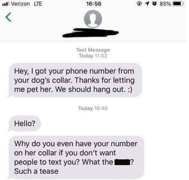 creepy text message - Verizon Lte Hello? Text Message Today Hey, I got your phone number from your dog's collar. Thanks for letting me pet her. We should hang out. Today 6 Why do you even have your number on her collar if you don't want people to text you