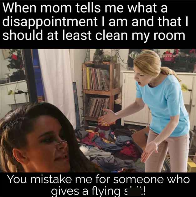 photo caption - When mom tells me what a disappointment I am and that I should at least clean my room You mistake me for someone who gives a flying s!
