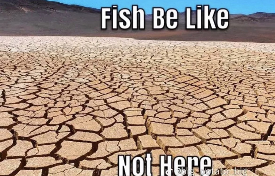 atacama desert dry - Fish Be Not Here potato big