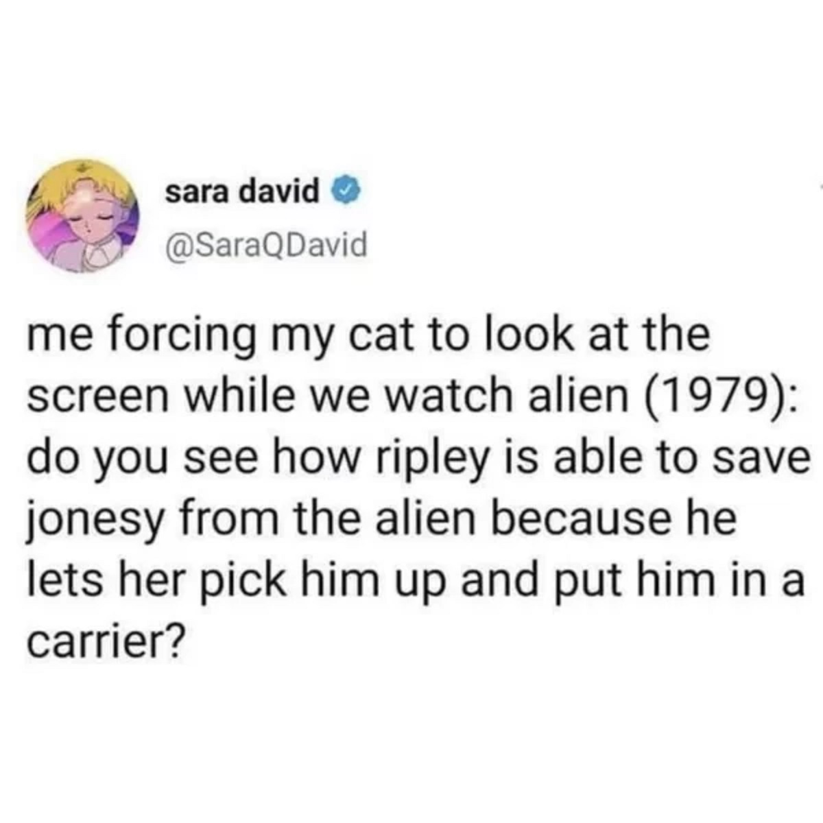 point - sara david me forcing my cat to look at the screen while we watch alien 1979 do you see how ripley is able to save jonesy from the alien because he lets her pick him up and put him in a carrier?