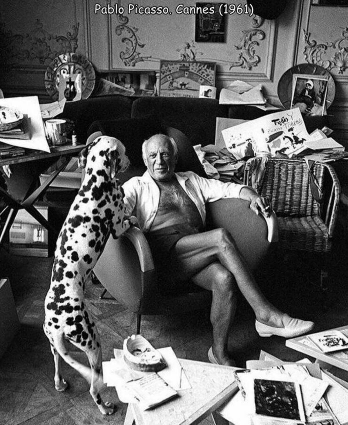 pablo picasso dalmatian - Pablo Picasso. Cannes 1961 Todos Phase Torero