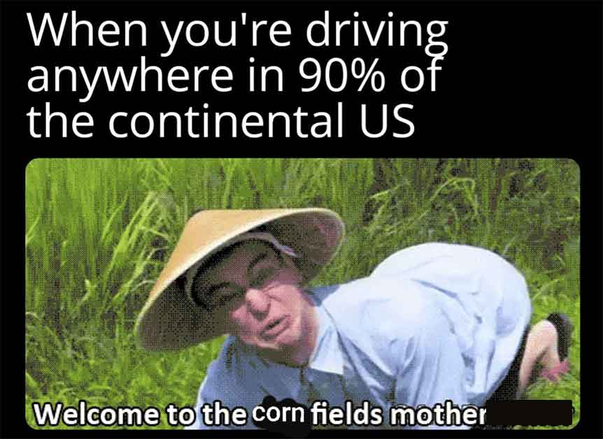 grass - When you're driving anywhere in 90% of the continental Us Welcome to the corn fields mother