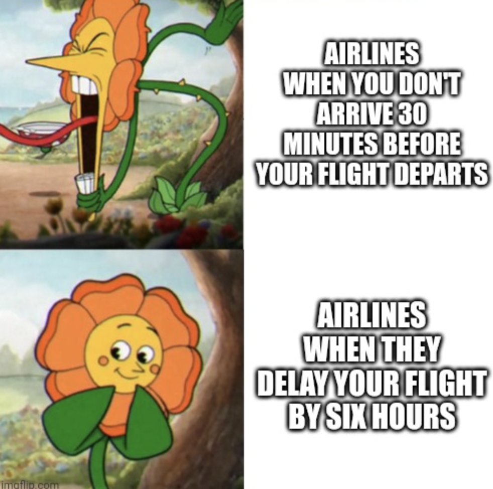 cartoon - imptlip.com Airlines When You Don'T Arrive 30 Minutes Before Your Flight Departs Airlines When They Delay Your Flight By Six Hours