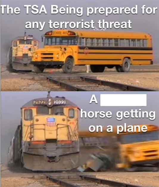 school bus - The Tsa Being prepared for any terrorist threat A horse getting on a plane