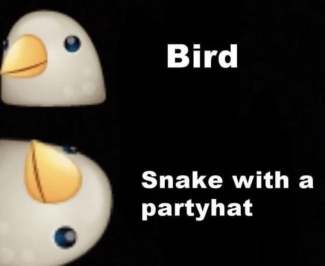 egg - Bird Snake with a partyhat