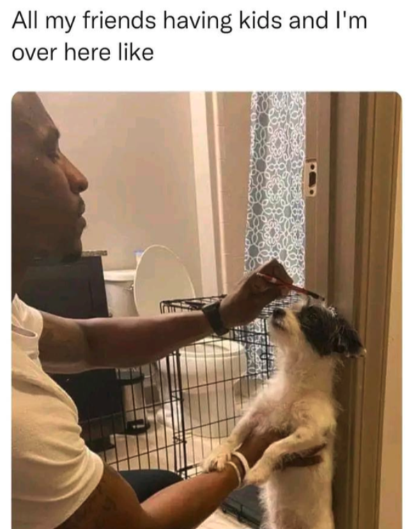 20 Wholesome Memes to Finish Off the Week 