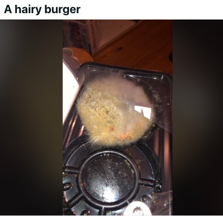Hairy Burgers, Ham Salad, and Hotel Bathroom Gravy: 22 Cursed Entries From Bad Cooks 
