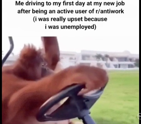 19 Monday Work Memes for Those Scrolling On Company Time
