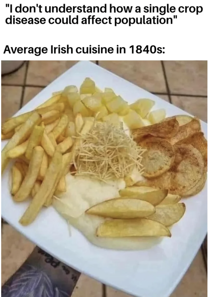 do you like potatoes meme - "I don't understand how a single crop disease could affect population" Average Irish cuisine in 1840s