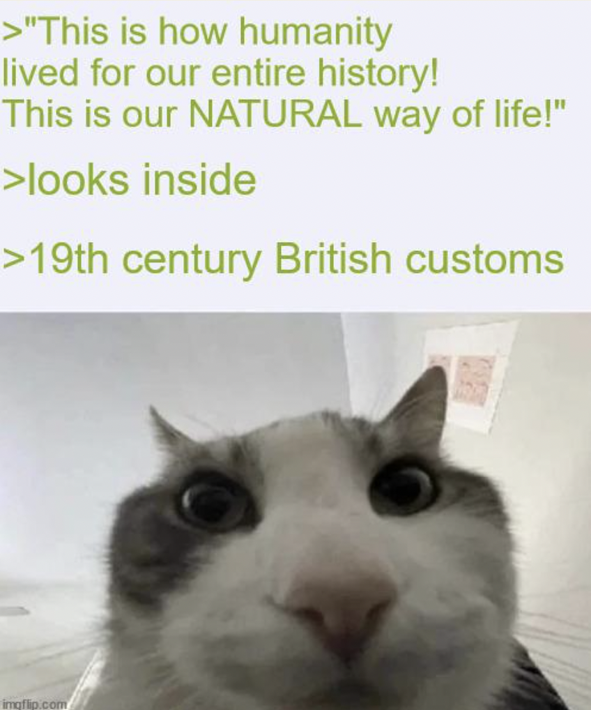 cat - >"This is how humanity lived for our entire history! This is our Natural way of life!" >looks inside >19th century British customs imgflip.com