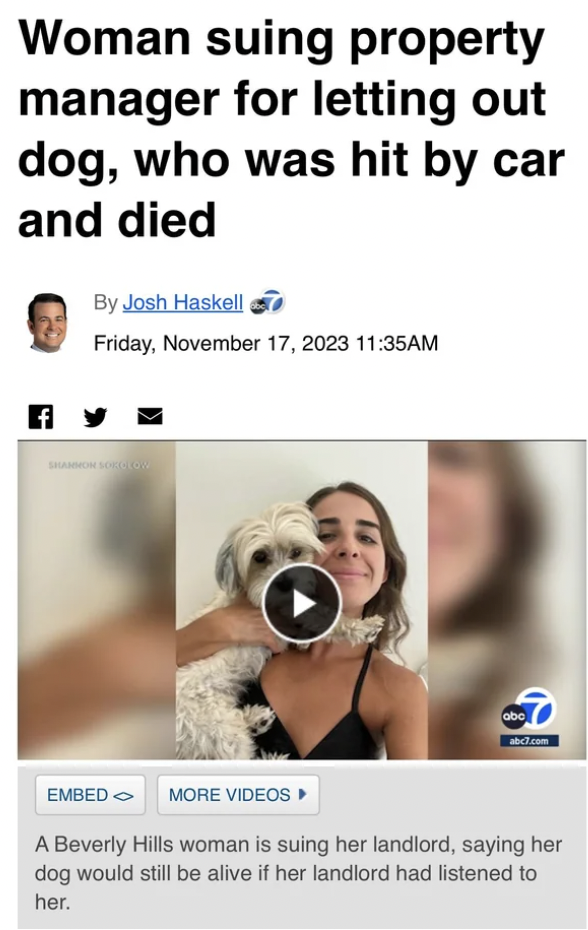 photo caption - Woman suing property manager for letting out dog, who was hit by car and died By Josh Haskell Friday, Am Embed 6 More Videos A Beverly Hills woman is suing her landlord, saying her dog would still be alive if her landlord had listened to h