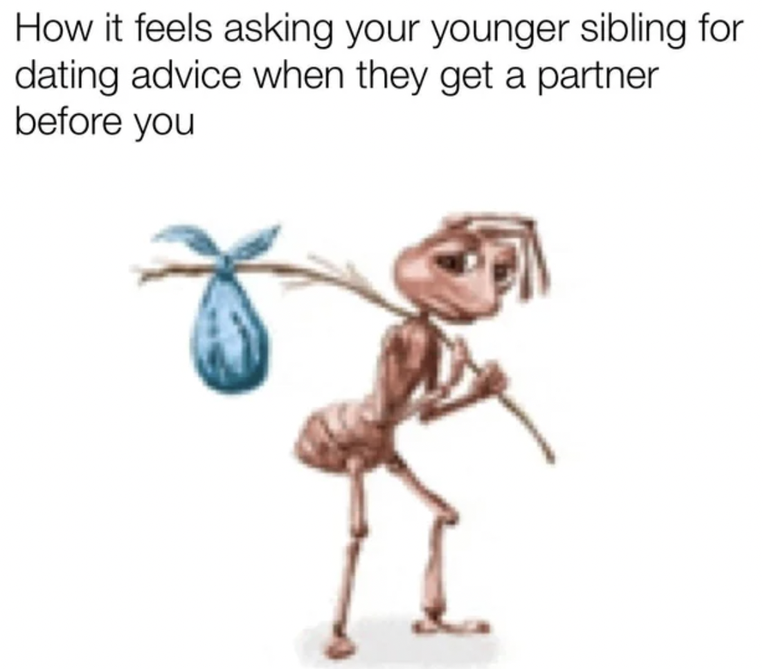 ant carrying bag - How it feels asking your younger sibling for dating advice when they get a partner before you