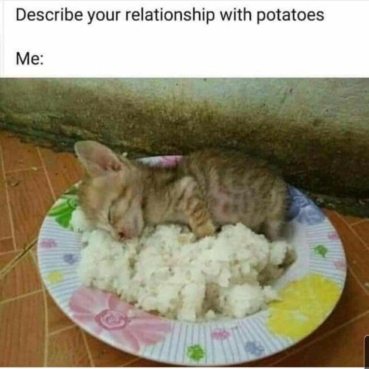 cat with rice food meme - Describe your relationship with potatoes Me