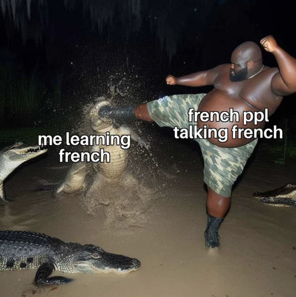 allifator kick - me learning french french ppl talking french