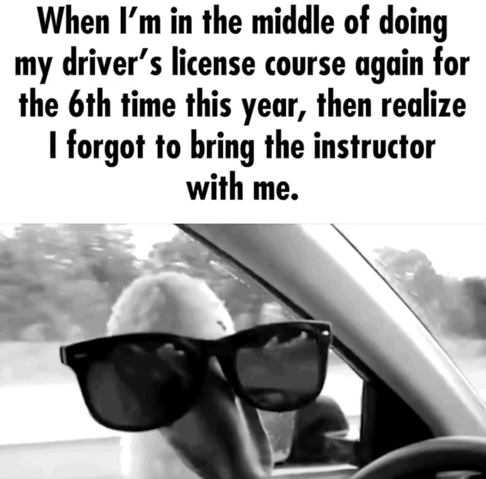 sunglasses - When I'm in the middle of doing my driver's license course again for the 6th time this year, then realize I forgot to bring the instructor with me.