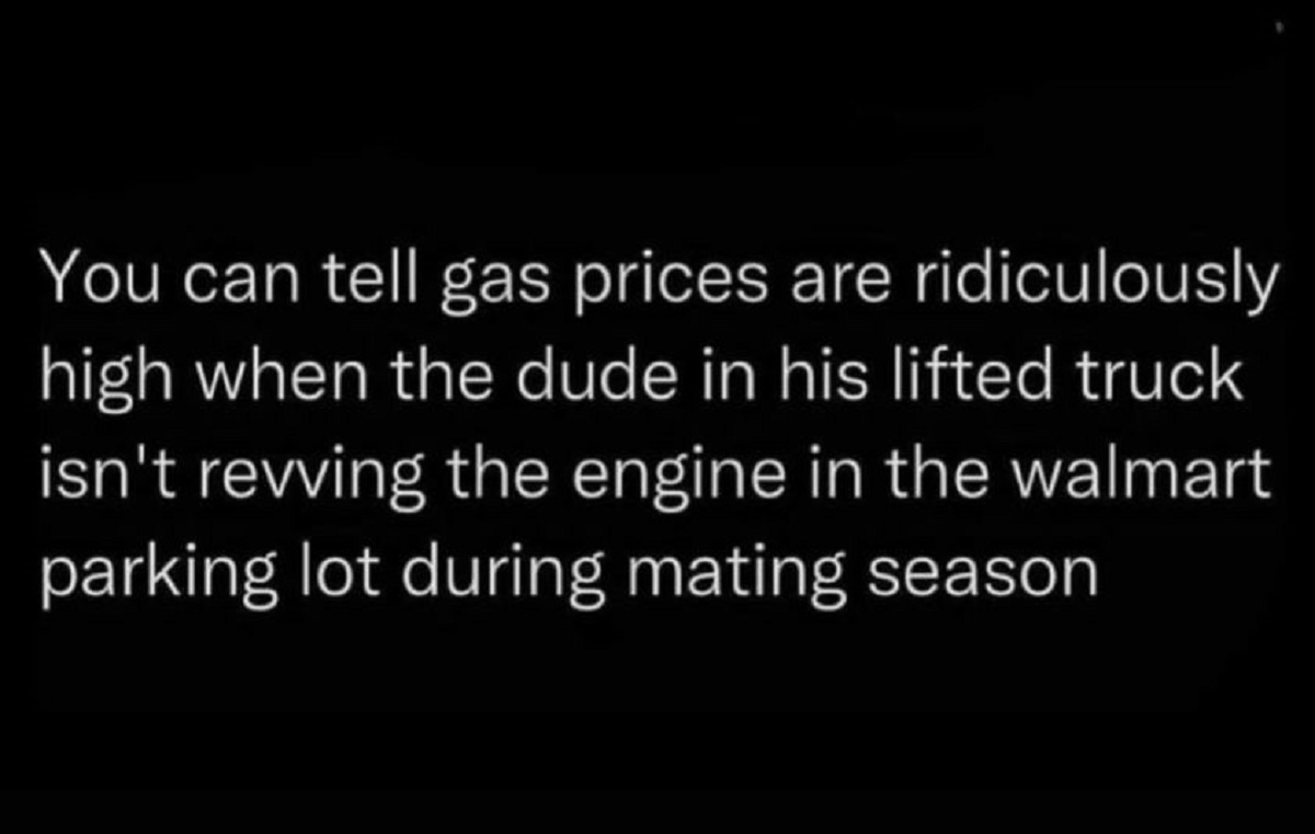 demon songs - You can tell gas prices are ridiculously high when the dude in his lifted truck isn't revving the engine in the walmart parking lot during mating season
