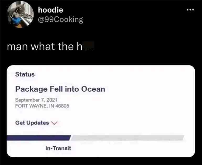 package fell into ocean - hoodie man what the h... Status Package Fell into Ocean Fort Wayne, In 46805 Get Updates V InTransit