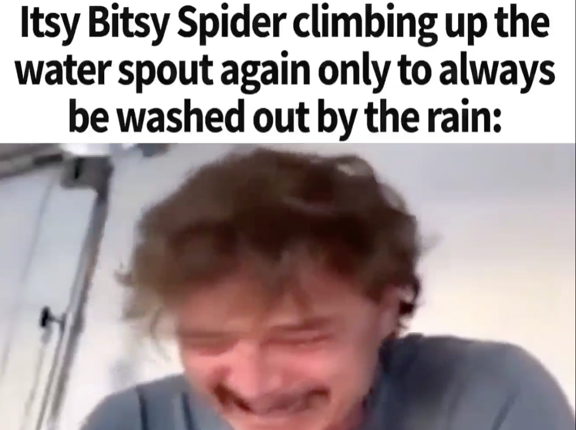 photo caption - Itsy Bitsy Spider climbing up the water spout again only to always be washed out by the rain
