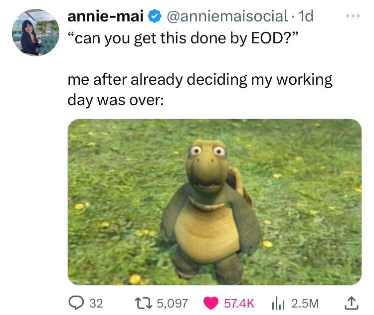 turtle huh meme - anniemai "can you get this done by Eod?" me after already deciding my working day was over 32 15,097 12.5M