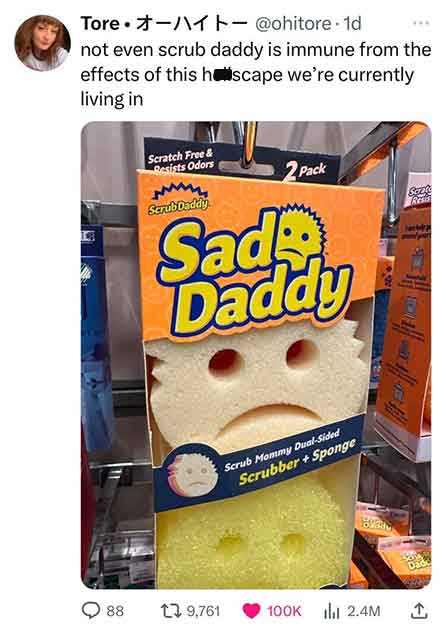junk food - Tore .1d not even scrub daddy is immune from the effects of this hscape we're currently living in 88 Scratch Free & Resists Odors 2 Pack ScrubDaddy Sad Daddy Scrub Mommy DualSided Scrubber Sponge 19, 2.4M Scrate Resis of pat